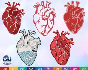 anatomical heart embroidery design from widoembroidery.com