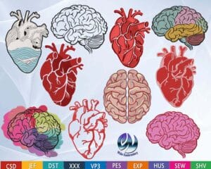 10 anatomical brain and heart embroidery design from widoembriodery.com