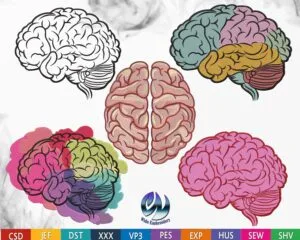 anatomical brain embroidery design from widoembriodery.com